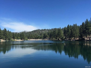 33010 Juniper Ln, Green Valley Lake, CA 92341 - photo 3