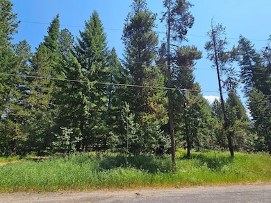 The Mountain Lake Town of McCall