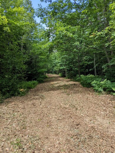 Off W Salisbury Rd unit 7, Salisbury, NH 03268 - photo 3