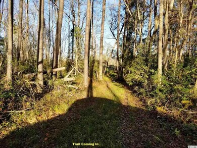 0 S Carolina 410, Aynor, SC 29511 - photo 6