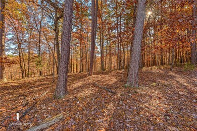 TBD Rosebud Ln, Rogers, AR 72756 - photo 5