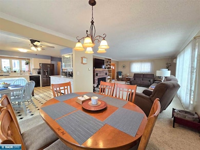 411 1st St NW, Chisholm, MN 55719 - photo 4