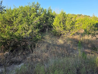 201 Sycamore Valley Rd, Dripping Springs, TX 78620 - photo 6