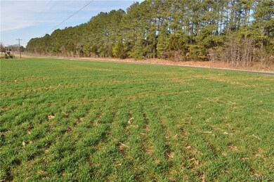 10.064 ACRES Genito Rd, Amelia Ct Hse, VA 23002 - photo 2