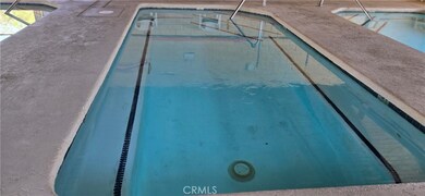 One of two massive spring water fed hot tubs.