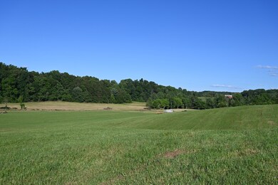 0 Tommy Dodson Hwy unit RTC2396915, Cookeville, TN 38506 - photo 4