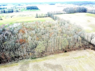 DJI_0987