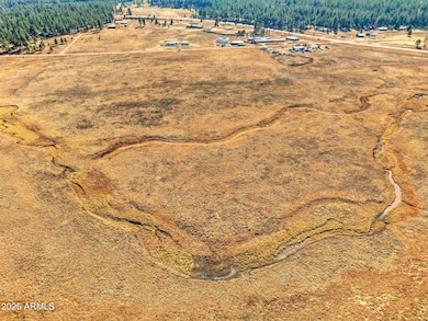 Lot 23 the Ranch at Alpine -- unit 23, Alpine, AZ 85920 - photo 6