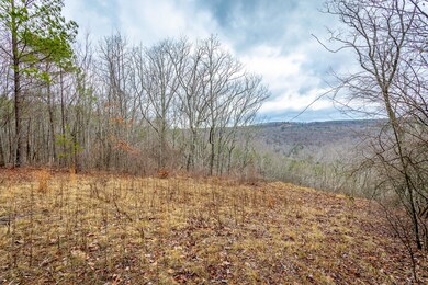 River Gorge Ranch Lot 1354 HD-25