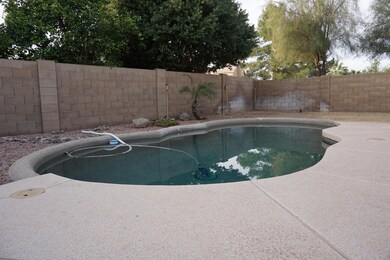 4145 W Shannon St, Chandler, AZ 85226 - photo 5