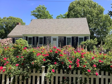 June Blooms