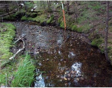 Other. Brook bed