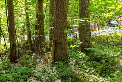 17937 Clear Lake Blvd SE, Yelm, WA 98597 - photo 4