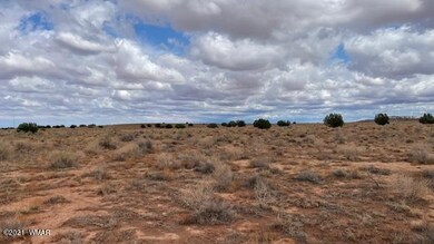 IMG_9853 (1)