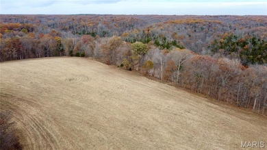 Tract 5 Polston Ln, Hickory Grove Township, MO 63357 - photo 2