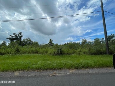0 Bumpnose Rd unit 730126, Marianna, FL 32446 - photo 3