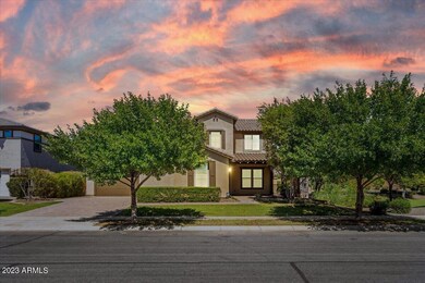 Grass Front Yard