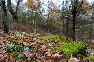 001 Bent Oak Trail, Greenwood, AR 72936 - photo 6