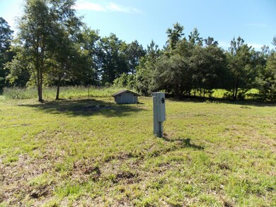 DSCN0848