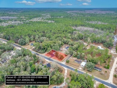 901 Arran Rd, Crawfordville, FL 32327 - photo 6