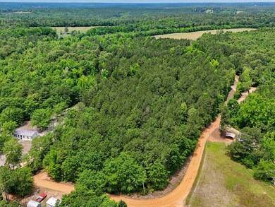 0 Lampp Rd, Gibson, GA 30810 - photo 5