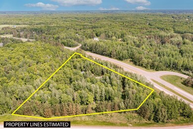 268 E Highway 61, Esko, MN 55733 - photo 2