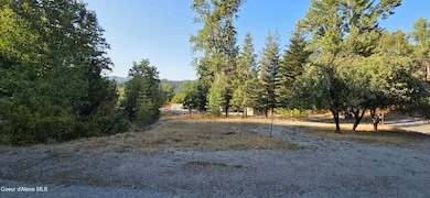 930 Lower Page Rd, Smelterville, ID 83868 - photo 3