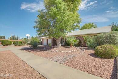 Mermaid 2320 10.10.23 RT (11)