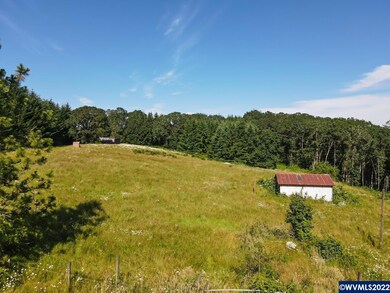 42820 Mount Pleasant Dr, Scio, OR 97374 - photo 5