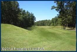 112 Fairway Dr, Drums, PA 18222 - photo 4