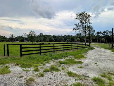 0 Peterson Rd, Pierson, FL 32180 - photo 2