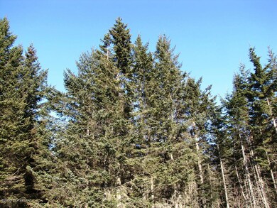 L8 B1 Laduquesa Ln, Anchor Point, AK 99556 - photo 5