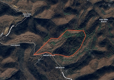 Quicksand Creek Rd, Lambric, KY 41339 - photo 5