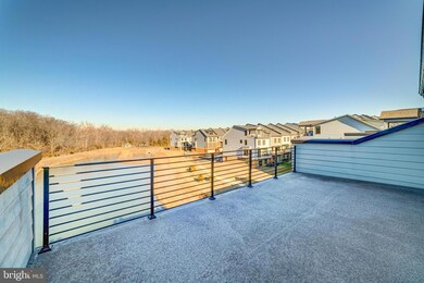 1807 Yellow Garnet Terrace SE, Leesburg, VA 20175 - photo 3