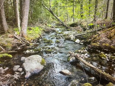 Lot #8 Hammond Brook Rd unit 8, Monson, ME 04464 - photo 6