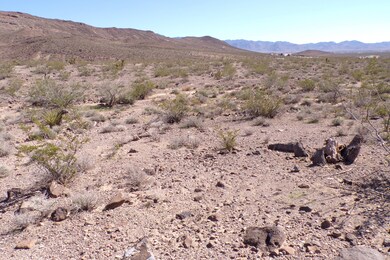 N White Dr, Dolan Springs, AZ 86441 - photo 6