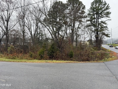 Tbd Bethel Dr, Bristol, TN 37620 - photo 5