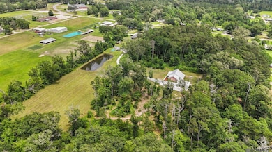 19397 Louisiana 42, Livingston, LA 70754 - photo 5