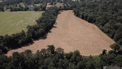 22835 La Hwy 16, Denham Springs, LA 70726 - photo 5