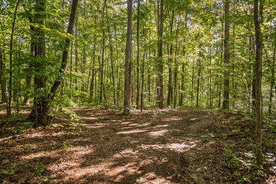 Roaring Creek Farms-97