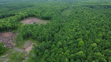120 Acres Wisconsin 86, Tomahawk, WI 54487 - photo 6