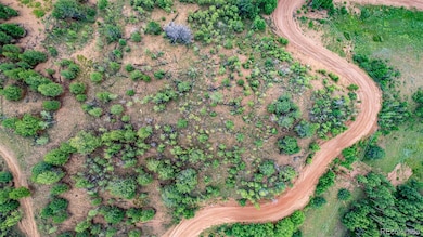 1693 Golden Cycle Cir, Cripple Creek, CO 80813 - photo 3