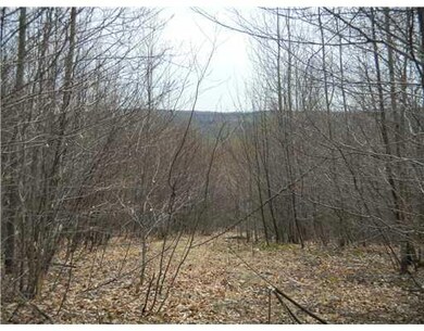Land. Potential for a really nice view.