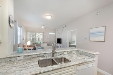 Gorgeous New Granite Countertops