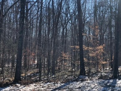 000 Mattoax Ln, Amelia, VA 23002 - photo 3