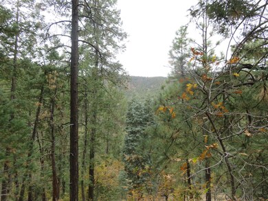 Forest & Mountain Views