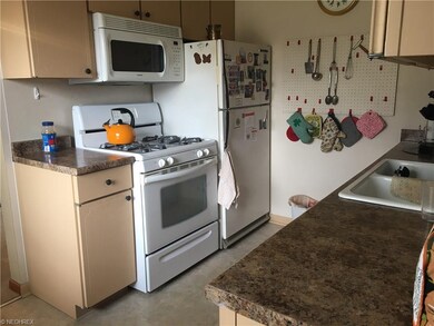 1032 Kevin Dr, Akron, OH 44313 - photo 6