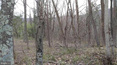 0 Shangri-La Rd unit 1000196351, Bentonville, VA 22610 - photo 3