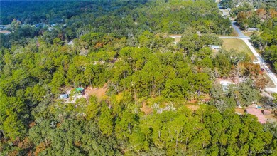 419 N Florene Point, Crystal River, FL 34429 - photo 5