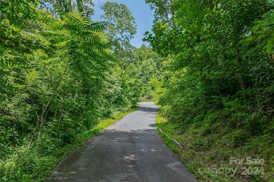 TBD Kestrel Ln unit T-75, Black Mountain, NC 28711 - photo 4